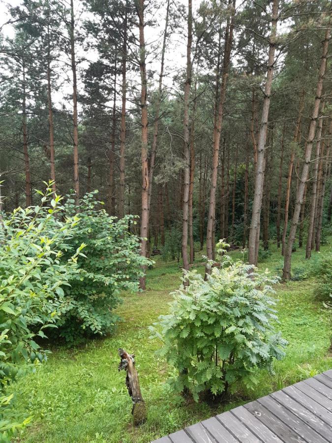 Lesna Polana Villa Gorzno  Luaran gambar