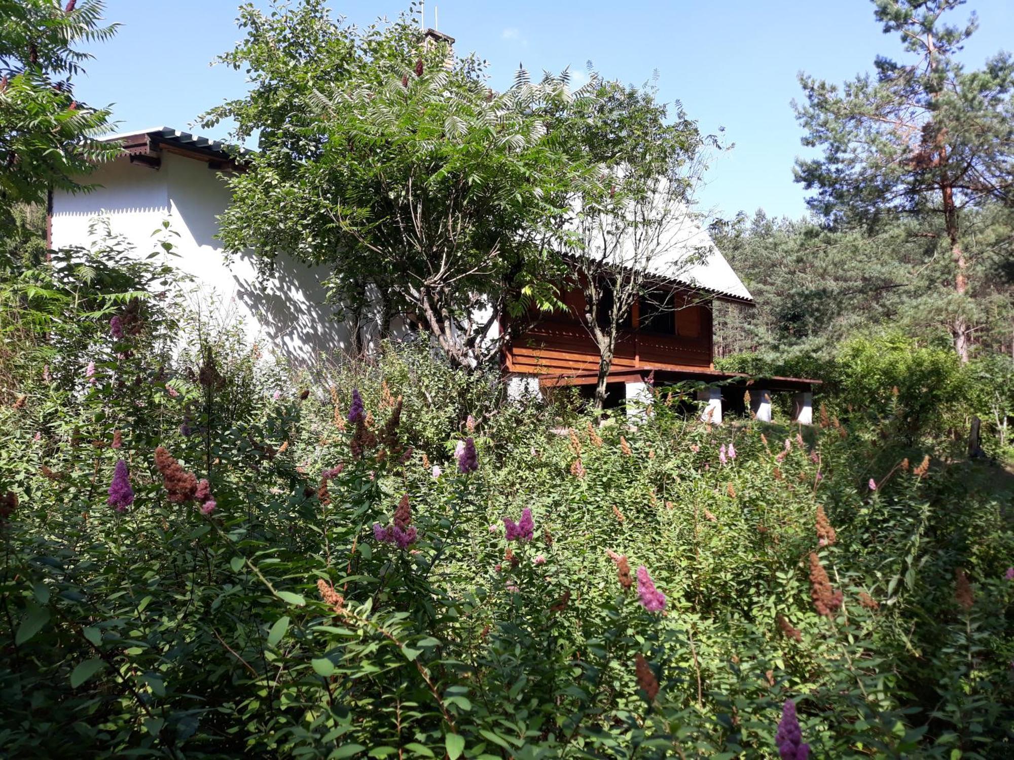 Lesna Polana Villa Gorzno  Luaran gambar