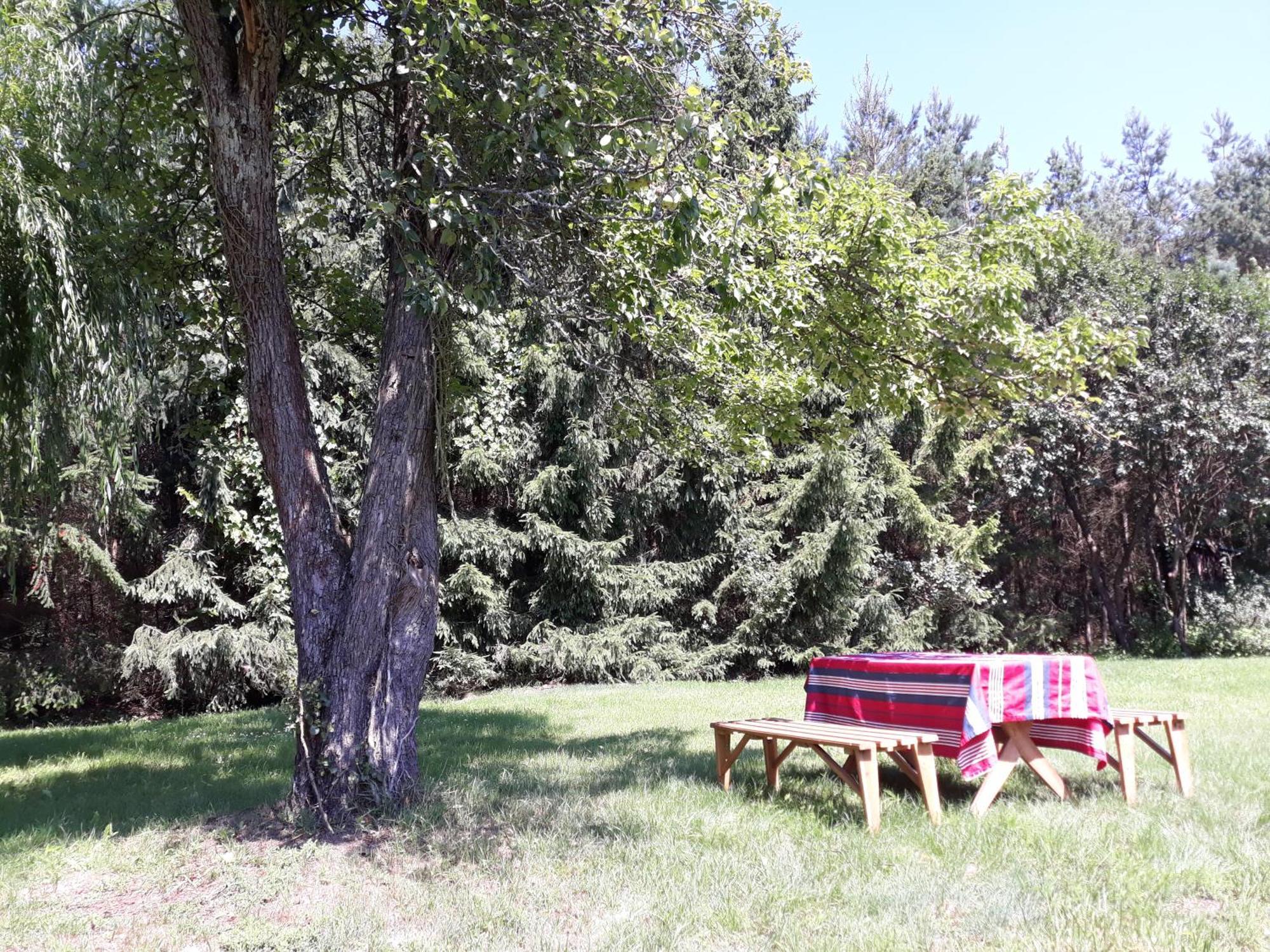 Lesna Polana Villa Gorzno  Luaran gambar